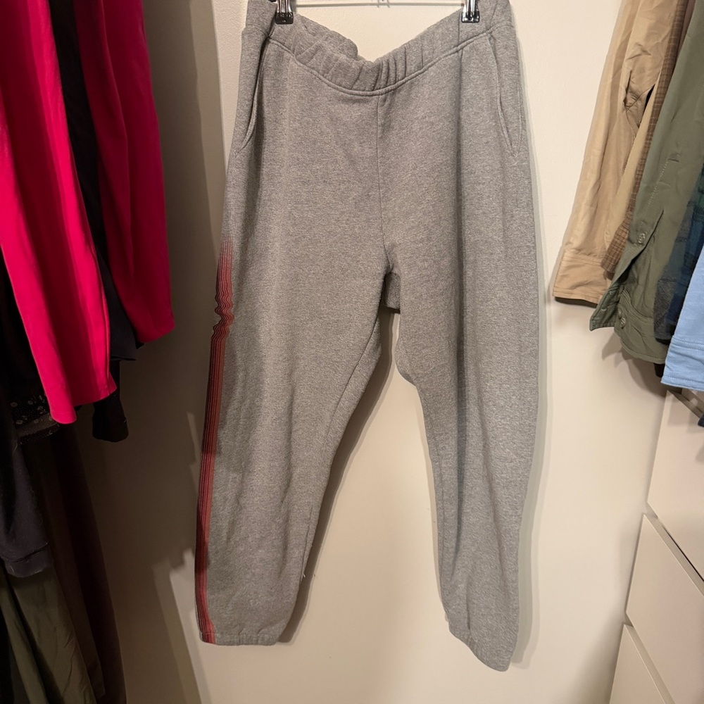 Patagonia Gray Fleece-Lined Pants